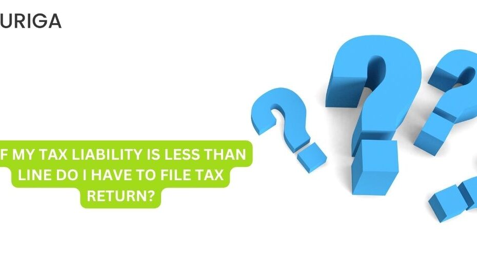 IF MY TAX LIABILITY IS LESS THAN LINE DO I HAVE TO FILE TAX RETURN?