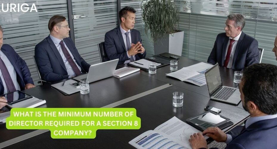 WHAT IS THE MINIMUM NUMBER OF DIRECTOR REQUIRED FOR A SECTION 8 COMPANY? 24 AURIGA ACCOUNTING PRIVATE LIMITED WHAT IS THE MINIMUM NUMBER OF DIRECTOR REQUIRED FOR A SECTION 8 COMPANY?
