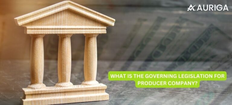 WHAT IS THE GOVERNING LEGISLATION FOR PRODUCER COMPANIES IN INDIA?