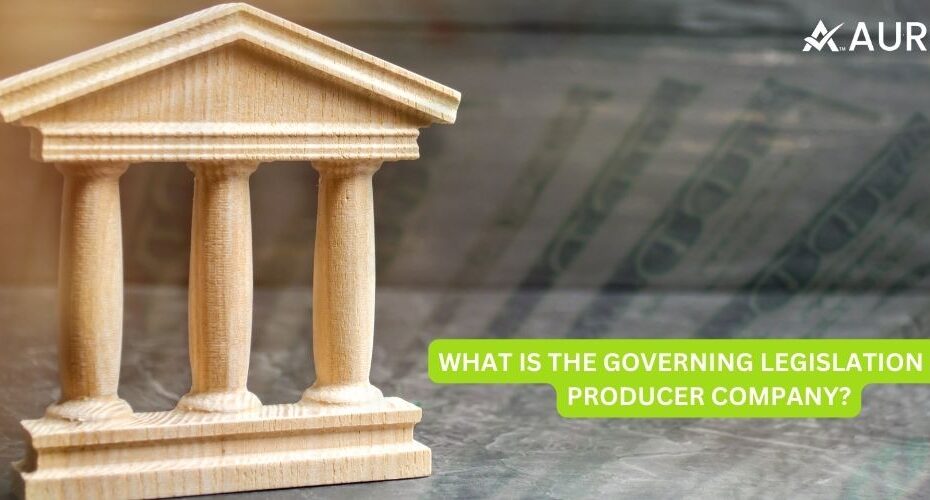 WHAT IS THE GOVERNING LEGISLATION FOR PRODUCER COMPANIES IN INDIA?