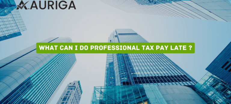 what can i do professional tax pay late ?