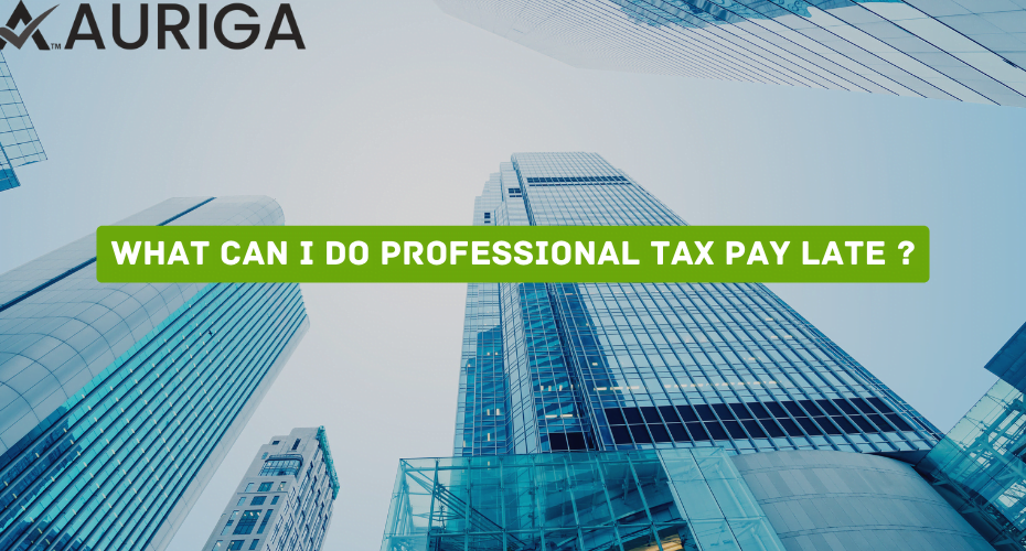 what can i do professional tax pay late ?