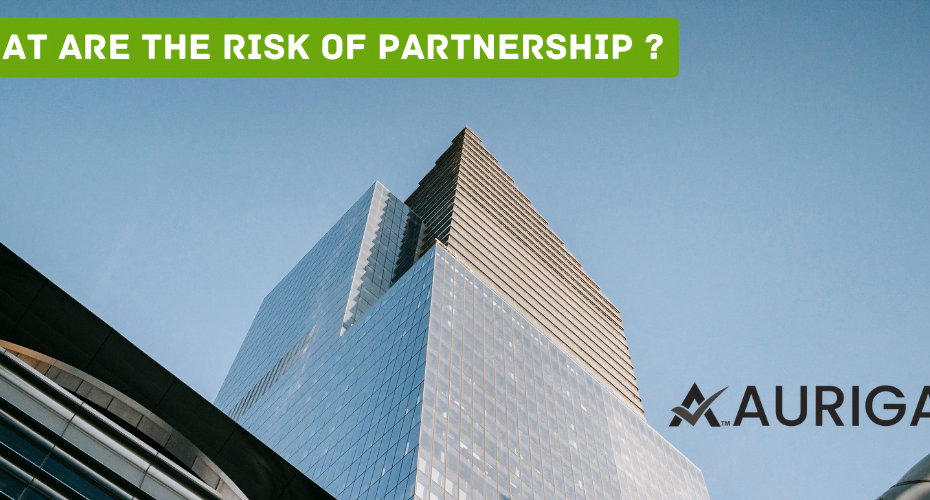 what are the risk of partnership ?