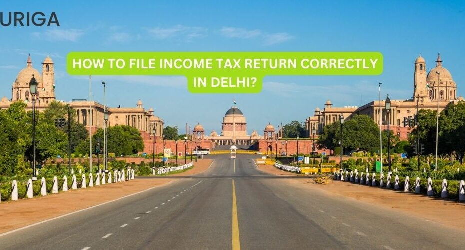 HOW TO FILE INCOME TAX RETURN CORRECTLY IN DELHI?