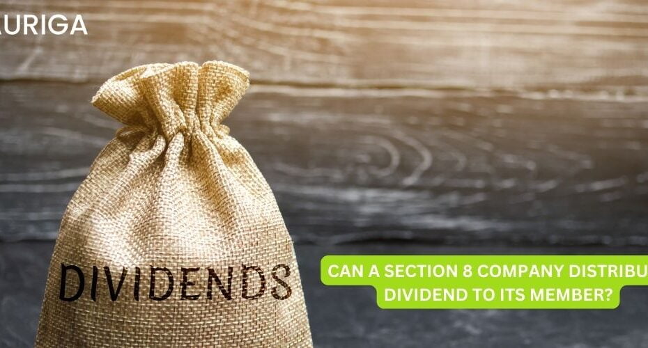 CAN A SECTION 8 COMPANY DISTRIBUTE DIVIDEND TO ITS MEMBER?