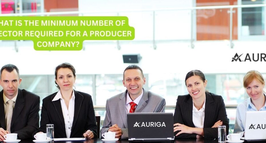 WHAT IS THE MINIMUM NUMBER OF DIRECTOR REQUIRED FOR A PRODUCER COMPANY?
