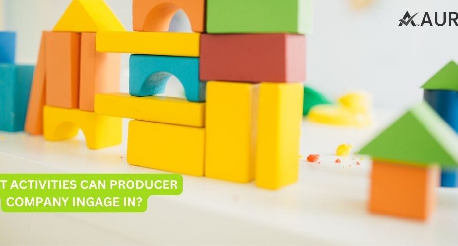 WHAT ACTIVITIES CAN PRODUCER COMPANY INGAGE IN?