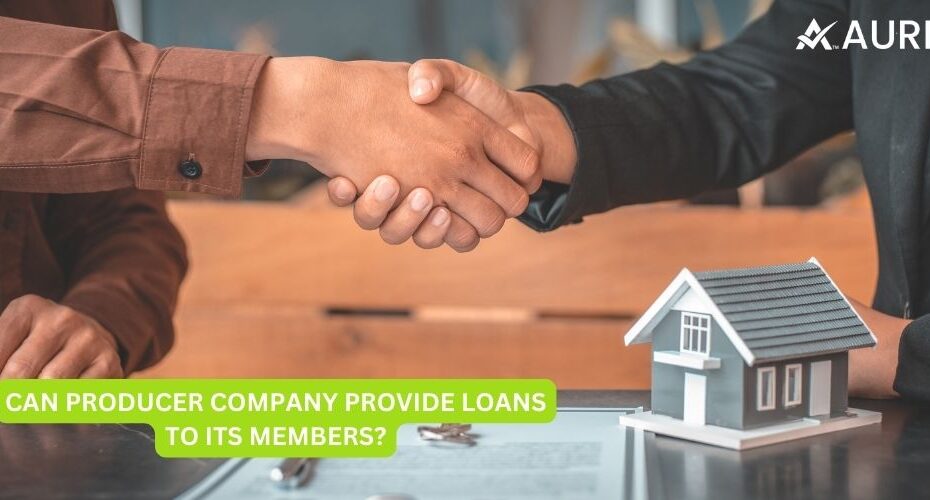 CAN PRODUCER COMPANY PROVIDE LOANS TO ITS MEMBER?