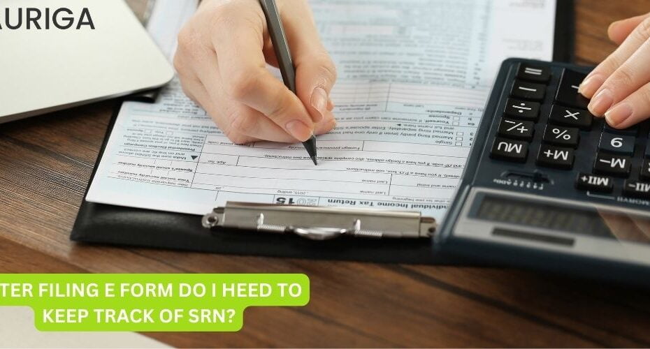AFTER FILING E-FORM DO I HEED TO KEEP TRACK OF SRN?