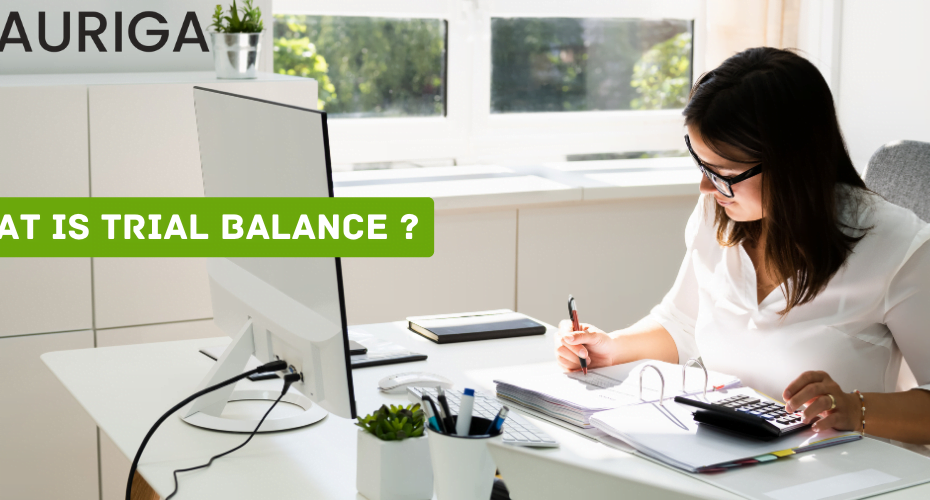 What is trial balance ?