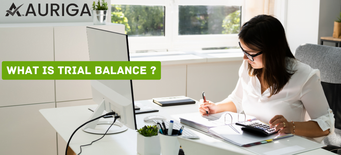 what is trial balance ? 1 AURIGA ACCOUNTING PRIVATE LIMITED What is trial balance ?
