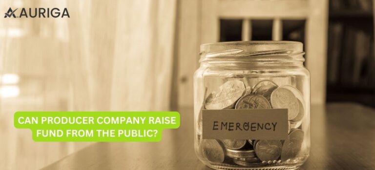 CAN PRODUCER COMPANY RAISE FUND FROM THE PUBLIC?