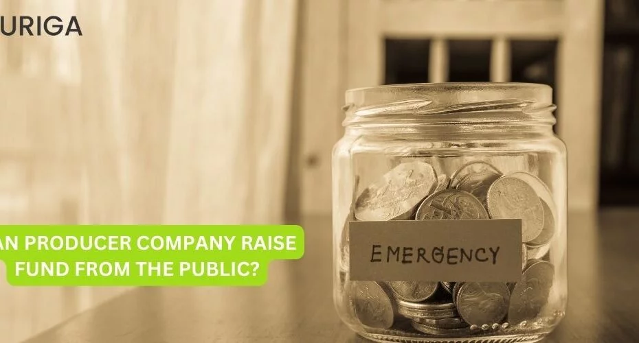 CAN PRODUCER COMPANY RAISE FUND FROM THE PUBLIC?