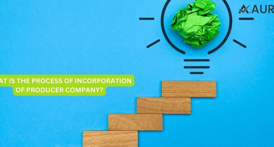 CAN PRODUCER COMPANY PROVIDE LOANS TO ITS MEMBER?