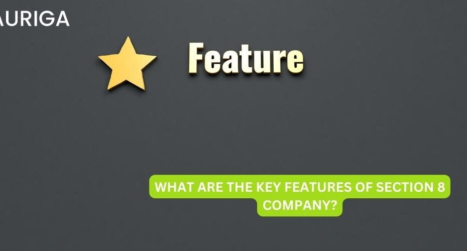 WHAT ARE THE KEY FEATURES OF SECTION 8 COMPANY? 70 AURIGA ACCOUNTING PRIVATE LIMITED WHAT ARE THE KEY FEATURES OF SECTION 8 COMPANY?