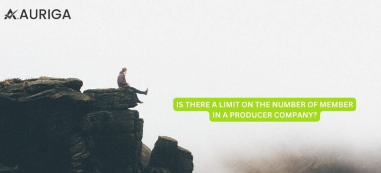 IS THERE A LIMIT ON THE NUMBER OF MEMBER IN A PRODUCER COMPANY?