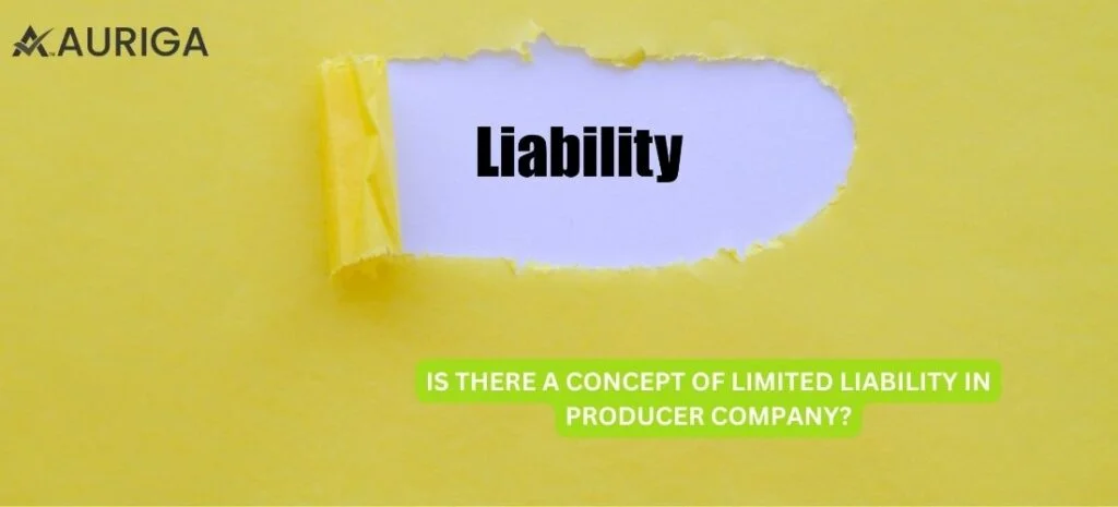 IS THERE A CONCEPT OF LIMITED LIABILITIES IN PRODUCER COMPANIES? JUST 5 STEPS 1 AURIGA ACCOUNTING PRIVATE LIMITED IS THERE A CONCEPT OF LIMITED LIABILITIES IN PRODUCER COMPANIES?