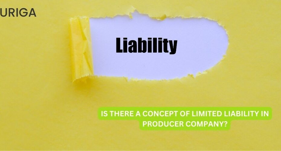 IS THERE A CONCEPT OF LIMITED LIABILITIES IN PRODUCER COMPANIES?