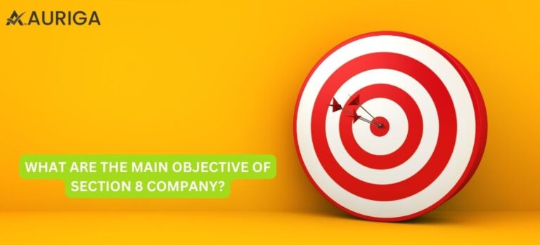 WHAT ARE THE KEY FEATURES OF SECTION 8 COMPANY?