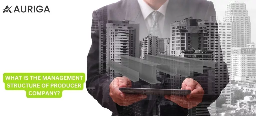 WHAT IS THE MANAGEMENT STRUCTURE OF PRODUCER COMPANY?