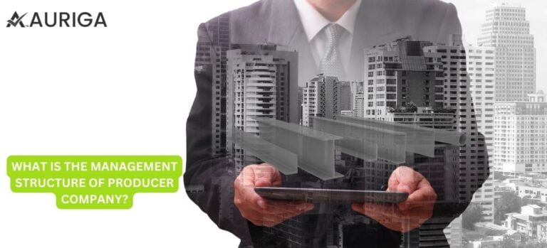 WHAT IS THE MANAGEMENT STRUCTURE OF PRODUCER COMPANY?