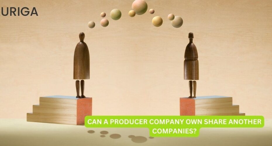 CAN A PRODUCER COMPANY OWN SHARE ANOTHER COMPANY?