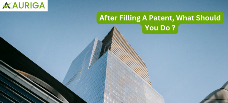 after filling a patent what should you do?