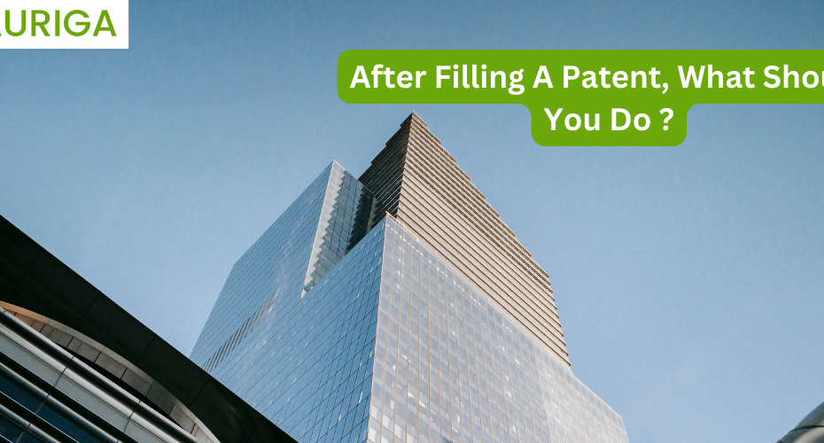 after filling a patent what should you do?