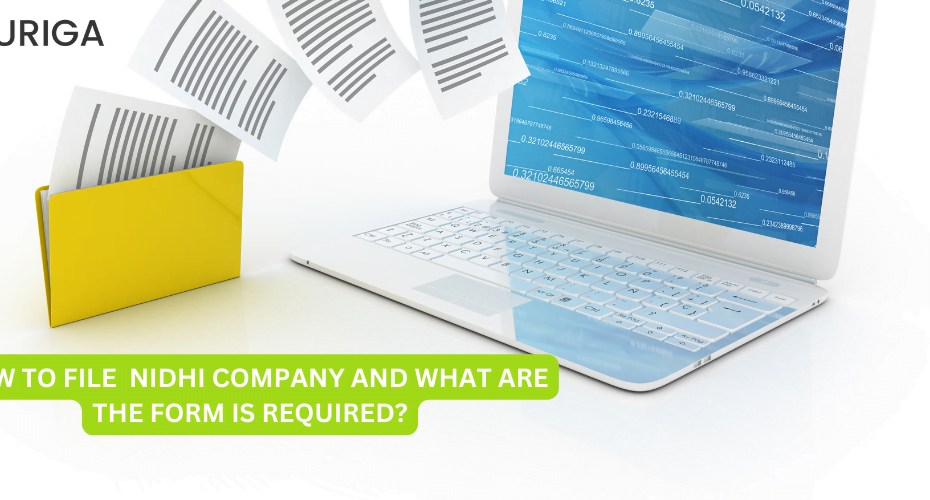 HOW TO FILE NIDHI COMPANY AND WHAT ARE THE FORM IS REQUIRED?