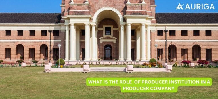 WHAT IS THE ROLE OF PRODUCER INSTITUTION IN A PRODUCER COMPANY?