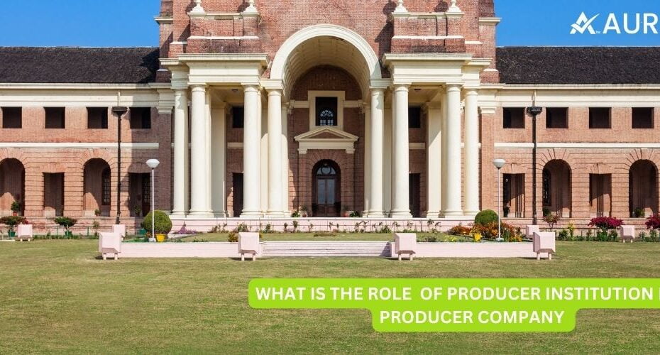 WHAT IS THE ROLE OF PRODUCER INSTITUTION IN A PRODUCER COMPANY?