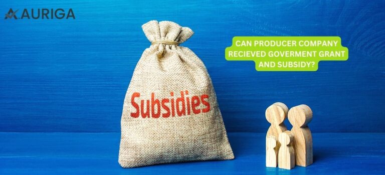 CAN PRODUCER COMPANY RECEIVED GOVERNMENT GRANT AND SUBSIDY?