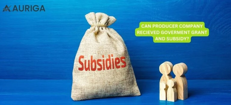 CAN PRODUCER COMPANY RECEIVED GOVERNMENT GRANT AND SUBSIDY?