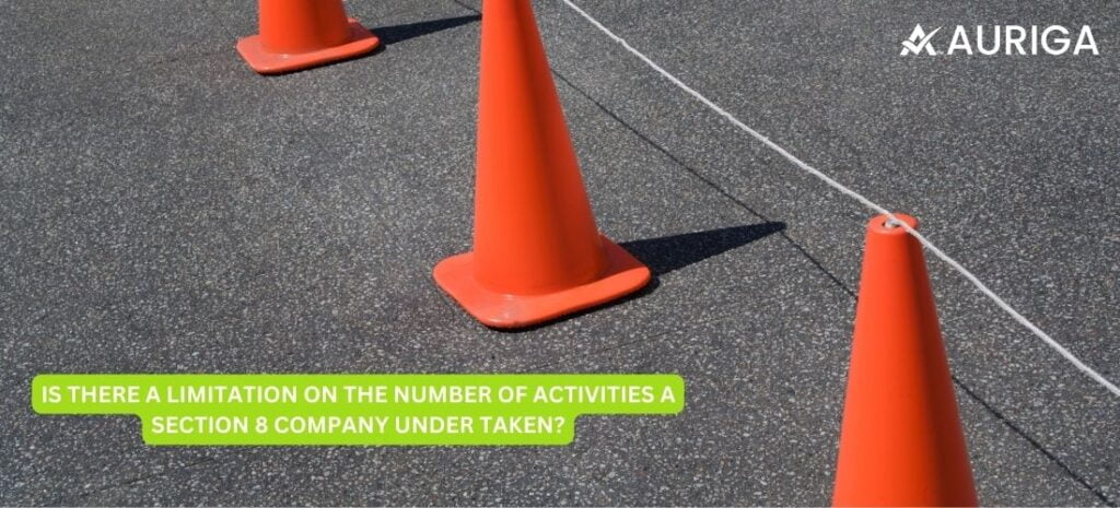 IS THERE A LIMITATION ON THE NUMBER OF ACTIVITIES A SECTION 8 COMPANY UNDER TAKEN? 1 AURIGA ACCOUNTING PRIVATE LIMITED IS THERE A LIMITATION ON THE NUMBER OF ACTIVITIES A SECTION 8 COMPANY UNDER TAKEN?