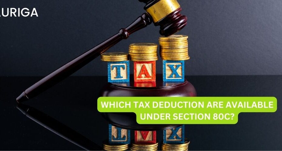 WHICH TAX DEDUCTION ARE AVAILABLE UNDER SECTION 80C?