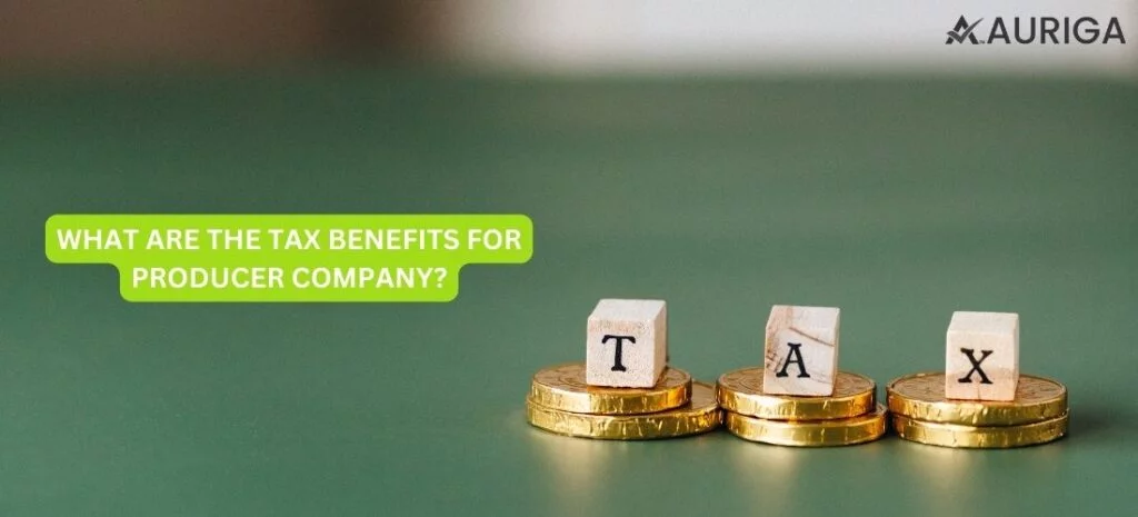 WHAT ARE THE TAX BENEFITS FOR PRODUCER COMPANY?
