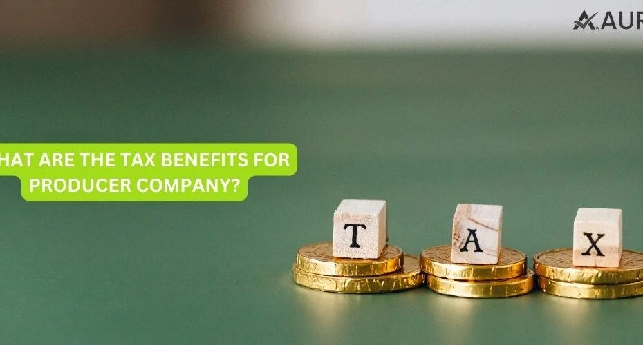 WHAT ARE THE TAX BENEFITS FOR PRODUCER COMPANY?