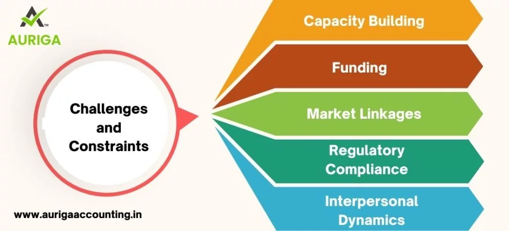 WHAT IS A PRODUCER COMPANY