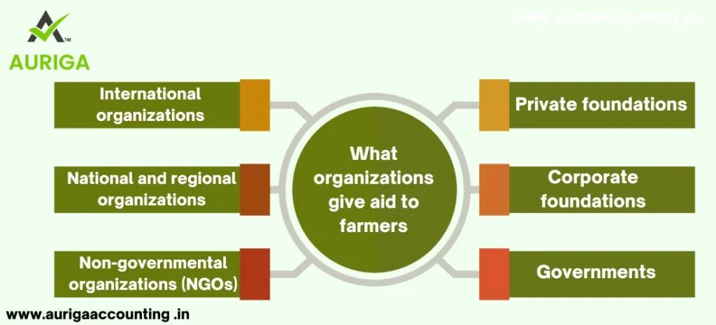 MANAGEMENT STRUCTURE OF PRODUCER COMPANY