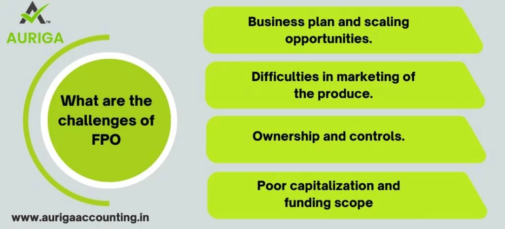 IS THERE A CONCEPT OF LIMITED LIABILITIES IN PRODUCER COMPANIES? JUST 5 STEPS 2 AURIGA ACCOUNTING PRIVATE LIMITED LIMITED LIABILITIES IN PRODUCER COMPANIES