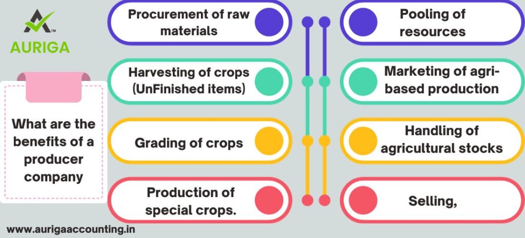 WHAT IS THE PROCESS OF INCORPORATION OF A PRODUCER COMPANY? JUST 5 STEPS 2 AURIGA ACCOUNTING PRIVATE LIMITED INCORPORATION OF A PRODUCER COMPANY