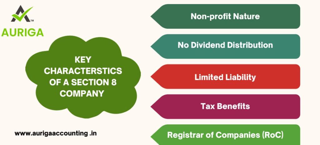 IS THERE A LIMITATION ON THE NUMBER OF ACTIVITIES A SECTION 8 COMPANY UNDER TAKEN? 2 AURIGA ACCOUNTING PRIVATE LIMITED LIMITATION ON THE NUMBER OF ACTIVITIES A SECTION 8 COMPANY UNDER TAKEN