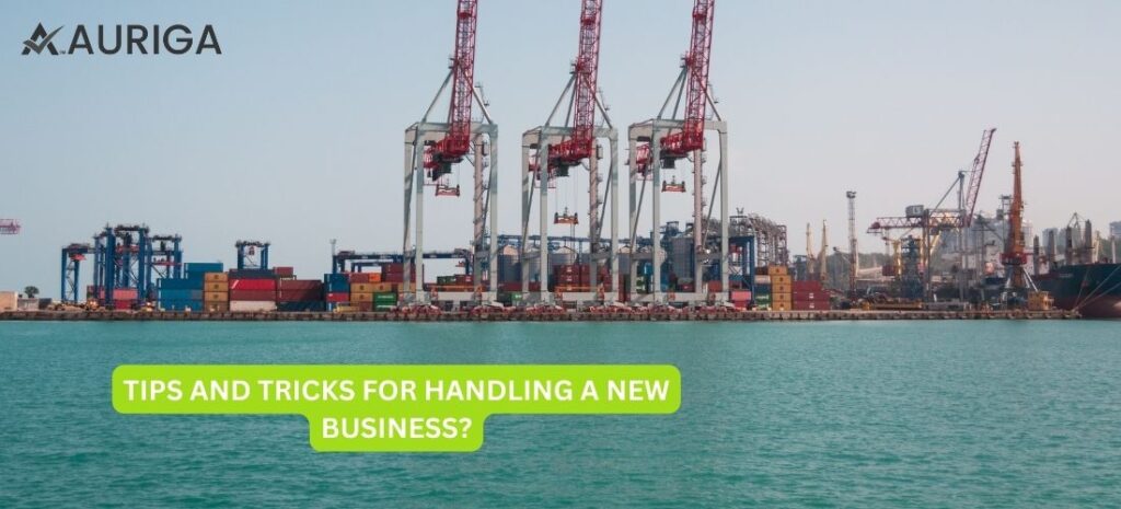 NO.1 TIPS AND TRICKS FOR HANDLINGS A NEW BUSINESS? 1 AURIGA ACCOUNTING PRIVATE LIMITED Define your Business | Business Idea | Business plan preparation | business vision | NEW BUSINESS | TIPS AND TRICKS