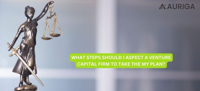 VENTURE CAPITAL | BUSINESS PLAN | BUSINESS GOALS | BUSINESS IDEA | NEW BUSINESS | CAPITAL FIRM | MY PLAN