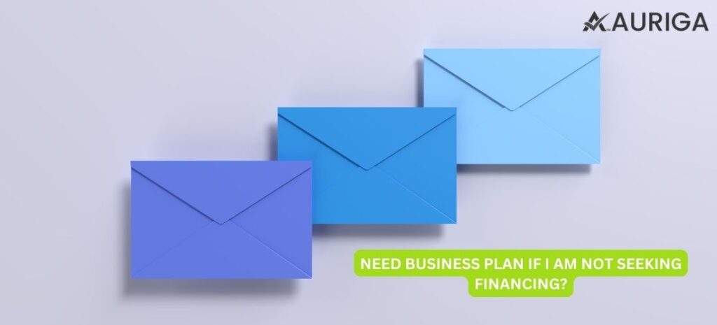 NEED NO.1 BUSINESS PLAN IF I AM NOT SEEKING FINANCING? 1 AURIGA ACCOUNTING PRIVATE LIMITED BUSINESS PLAN | SEEKING | FANANCING | BUSINESS CONSULTANT | BUSINESS VISION