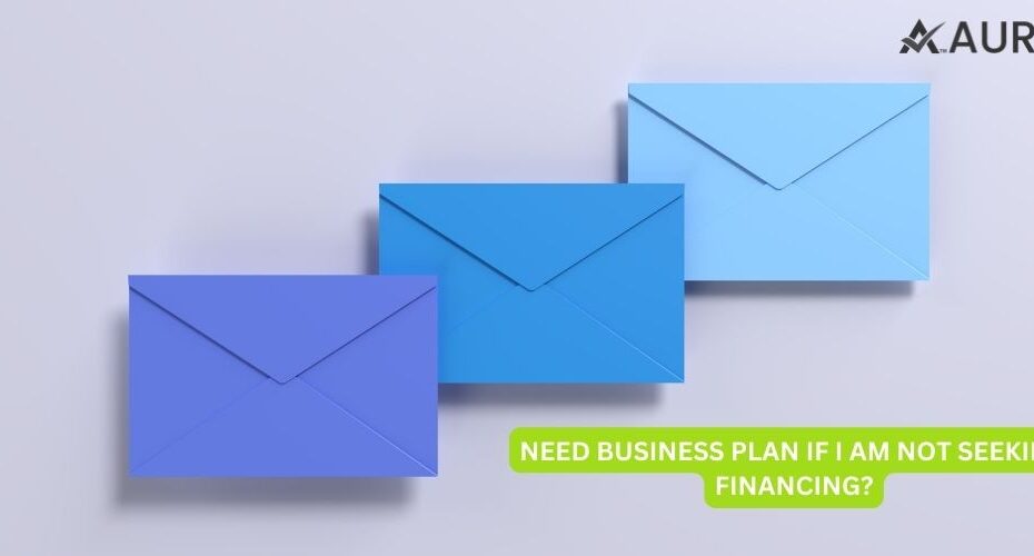 BUSINESS PLAN | SEEKING | FANANCING | BUSINESS CONSULTANT | BUSINESS VISION