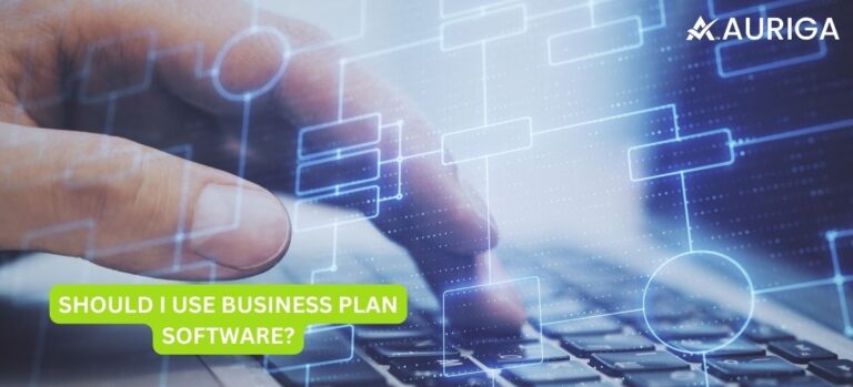 business plan | software | use business | business goals
