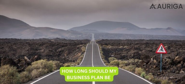 BUSINESS PLAN | BUSINESS STATEMENTS | BUSINESS FOR INVESTER | LONG BUSINESS | BUSINESS PLAN FORMAT BUSINESS PLAN SERVICE