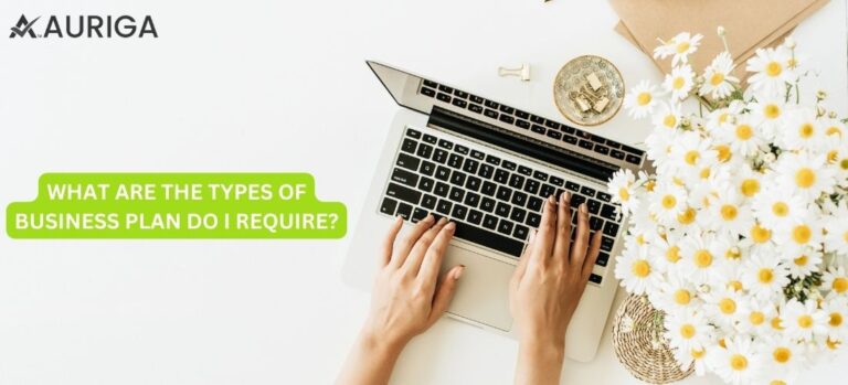 BUSINESS PLAN | TYPES OF BUSINESS | REQUIRE