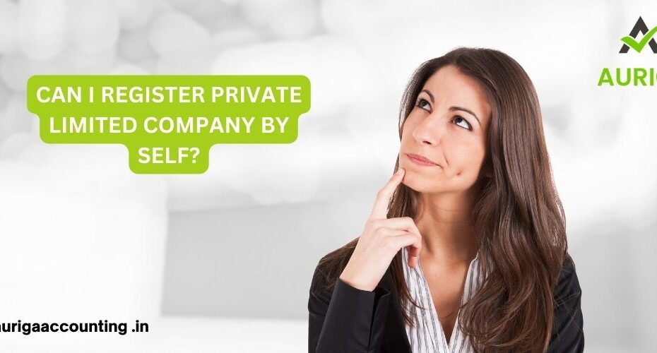 CAN I REGISTER PRIVATE LIMITED COMPANY BY SELF